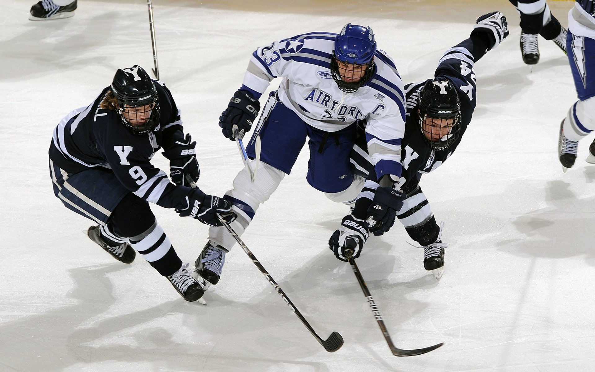 体育赛事观众参与体验提升策略研究,体育赛事现场的观赛礼仪