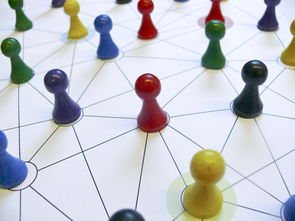 九游在线玩-中国篮球教练员专业能力提升路径，篮球教练员的专业技能包括哪些方面